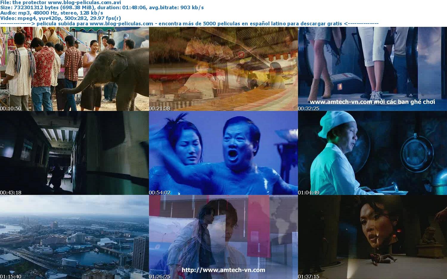 the protector subtitle indonesia dvdrip torrent